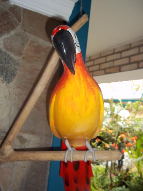 Pousada Riacho Doce Карагуататуба Номер фото
